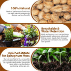 Pack Of 10 Organic Coco Coir Bricks- 100% Natural Compressed Coco Peat Brick Coconut Fiber Substrate With Low Ec&Ph Balance, Plant Soil Enhance Root Growth For Herbs, Flowers, House Plants