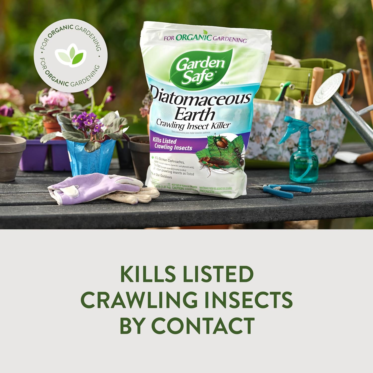 Garden Safe Brand Crawling Insect Killer Containing Diatomaceous Earth, 4 Pounds, Kills Cockroaches, Ants And Other Listed Crawling Insects By Contact, For Use Indoors & Outdoors