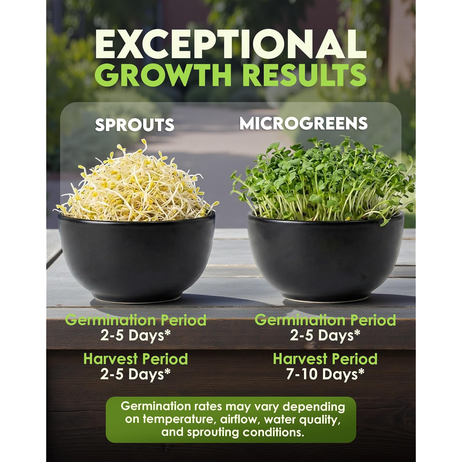 Nature Jim'S Sprouts - Organic Alfalfa Sprouting Seeds – Non-Gmo - 16 Oz | Premium Microgreen Seeds - Fast-Growing Plants - Ideal Sprouting Seeds For Fresh & Nutritious Indoor/Outdoor Home Gardening