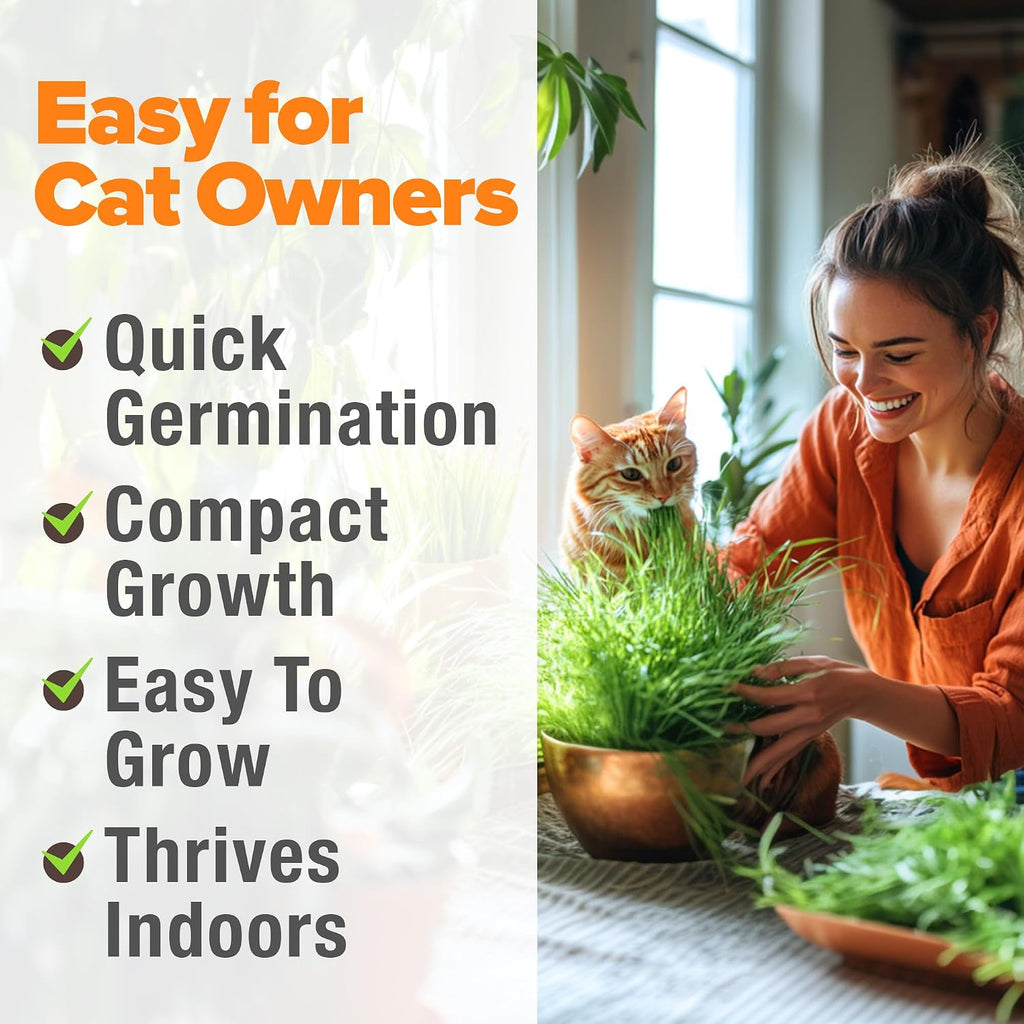 Home Grown Non Gmo 1 Pound Cat Grass 12,700+ Seeds & Kittens Oat & Barley Mix 100% Heirloom, Grow Fresh Kitty For Chewing, Pet Indoor Garden