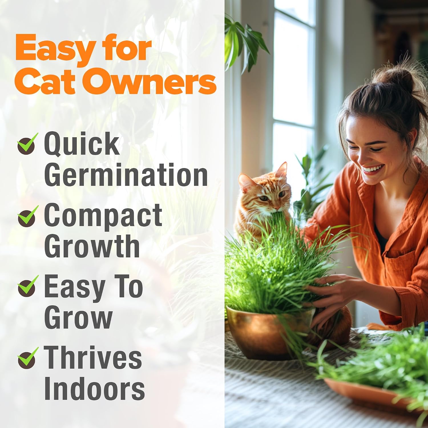 Home Grown Non Gmo 1 Pound Cat Grass 12,700+ Seeds & Kittens Oat & Barley Mix 100% Heirloom, Grow Fresh Kitty For Chewing, Pet Indoor Garden