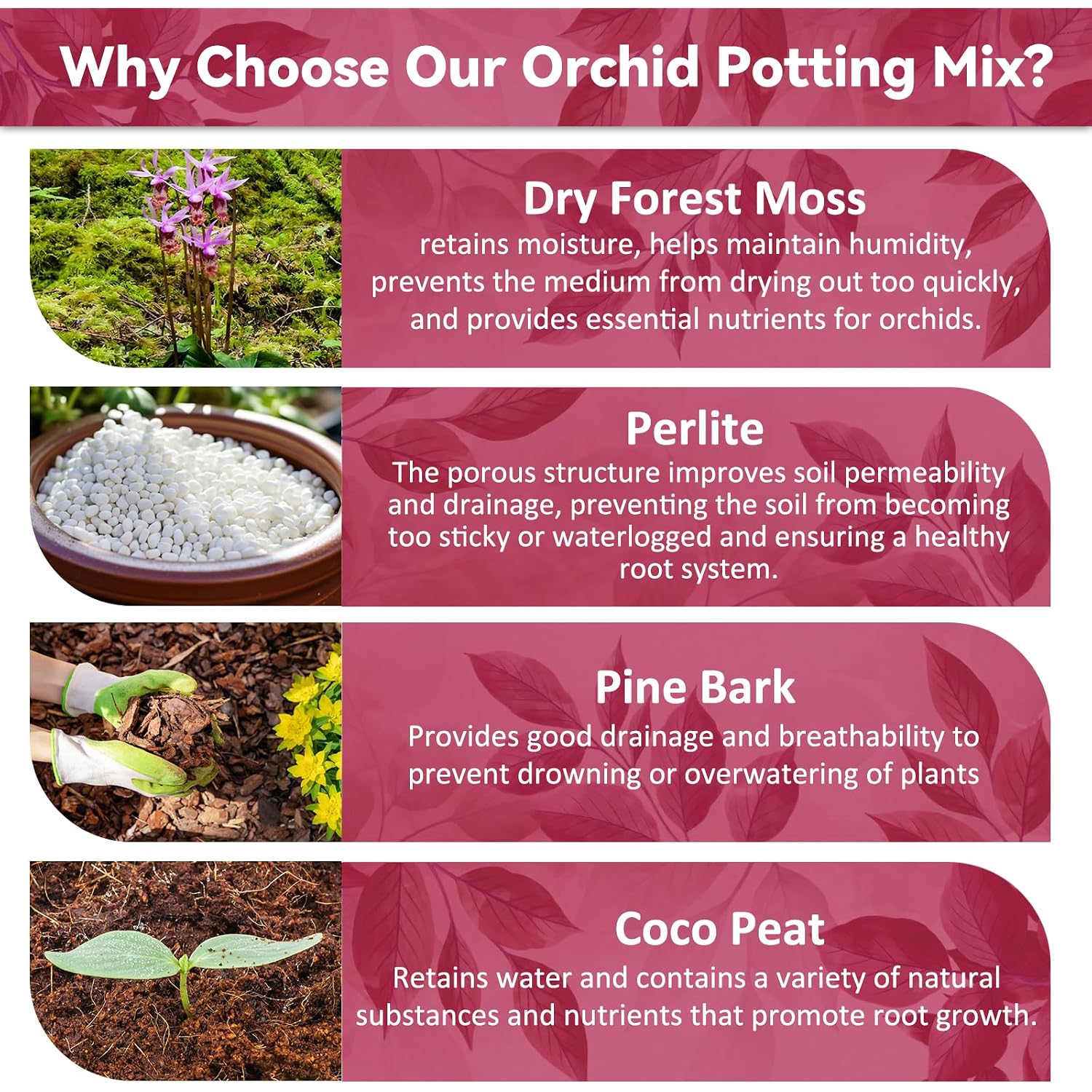 1Qt Orchid Potting Mix For Repotting- Orchid Repotting Kit Include Moss, Pine Bark, Perlite, Coco Peat- Premium Orchid Soil Medium For Indoor Potted Plants Root Ventilation & Expanding