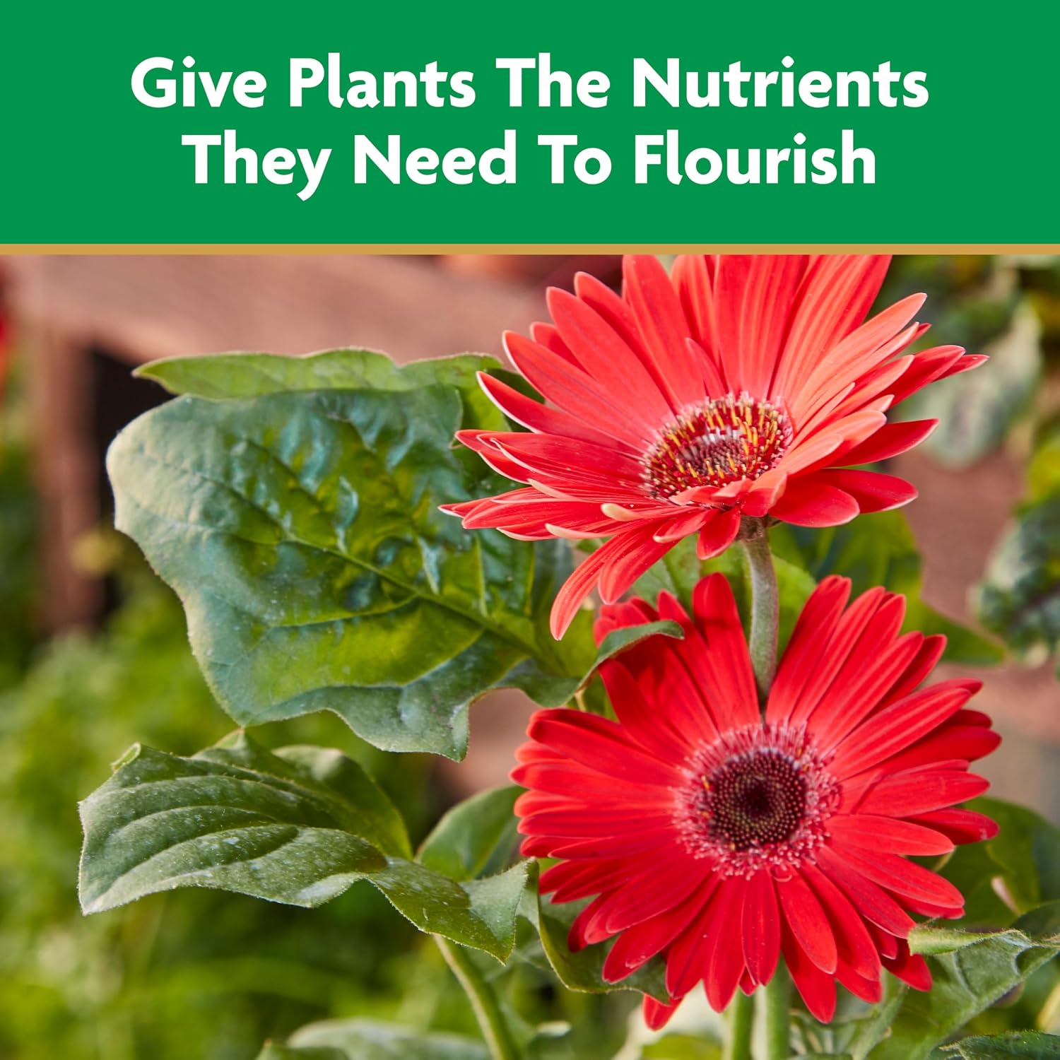 Miracle-Gro Liquid All Purpose Plant Food, Concentrate, 32 Oz. | Feeds Plants Instantly, For All Plant Types, Flowers, Vegetables, Trees, Houseplants