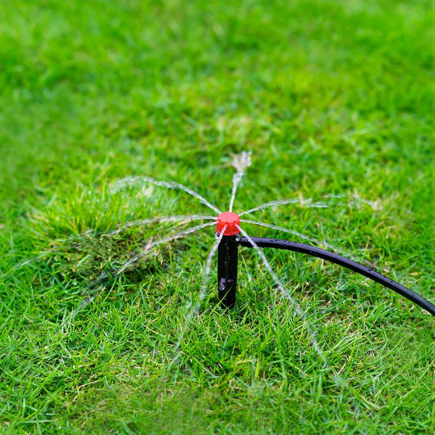 50Pcs Adjustable Drip Irrigation Emitters: Garden Drippers For 1/4" Tubing | 360 Degree Water Flow, 5-Inch Arrow Stake, For Garden/Lawn/Planter Beds, Compatible With 4-7Mm Tubing, Diy Watering System