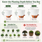 8/10/12 Inch Self Watering Pots For Indoor/Outdoor Plants | Large Plastic Planter With Drainage Holes, Water Level Indicator & Deep Reservoir, Modern Decorative Flower Pots, White