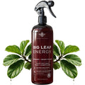 Big Leaf Energy Organic Neem Oil Spray For Plants, Indoor + Outdoor, 16Oz | Ready-To-Use Plant Wash With Essential Oils For Multi-Purpose, Advanced Protection. Made In Usa. Non-Synthetic, No Alcohols