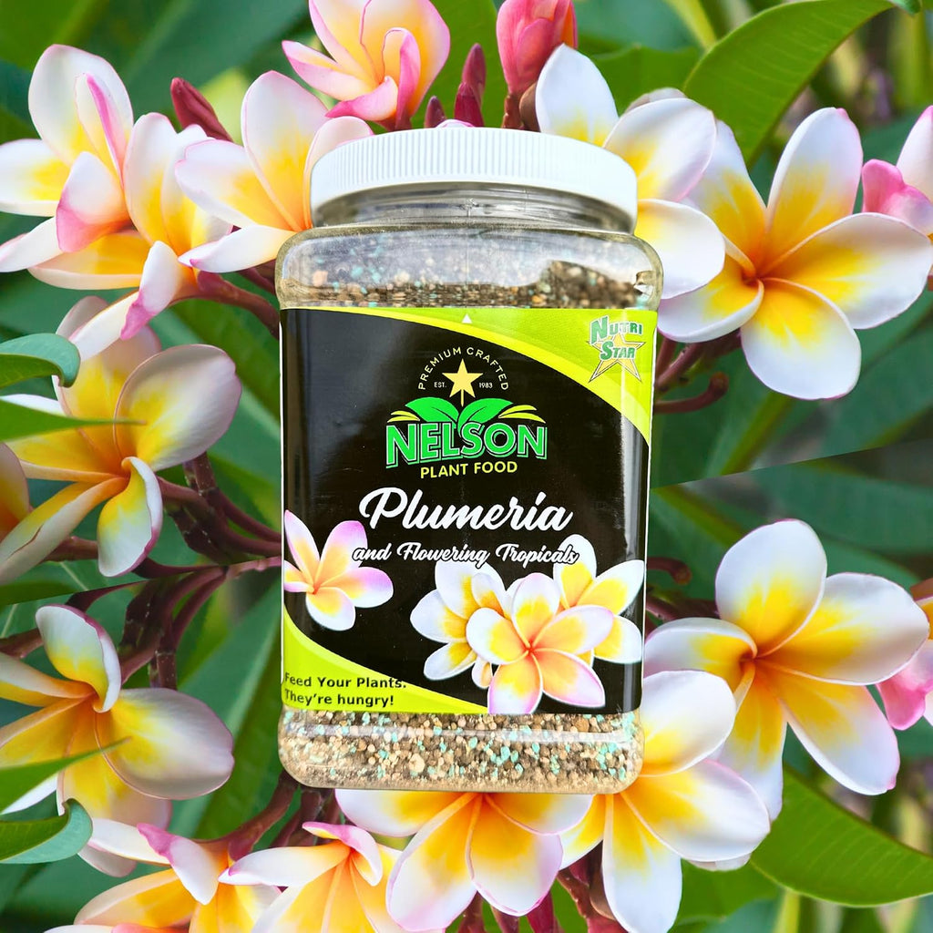 Nelson Plumeria Plant And All Flowering Tropicals Food Ferns Orchids Lilys In Ground Container Patio Grown Granular Fertilizer Nutristar 5-30-5 (2 Lb)