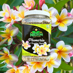 Nelson Plumeria Plant And All Flowering Tropicals Food Ferns Orchids Lilys In Ground Container Patio Grown Granular Fertilizer Nutristar 5-30-5 (2 Lb)