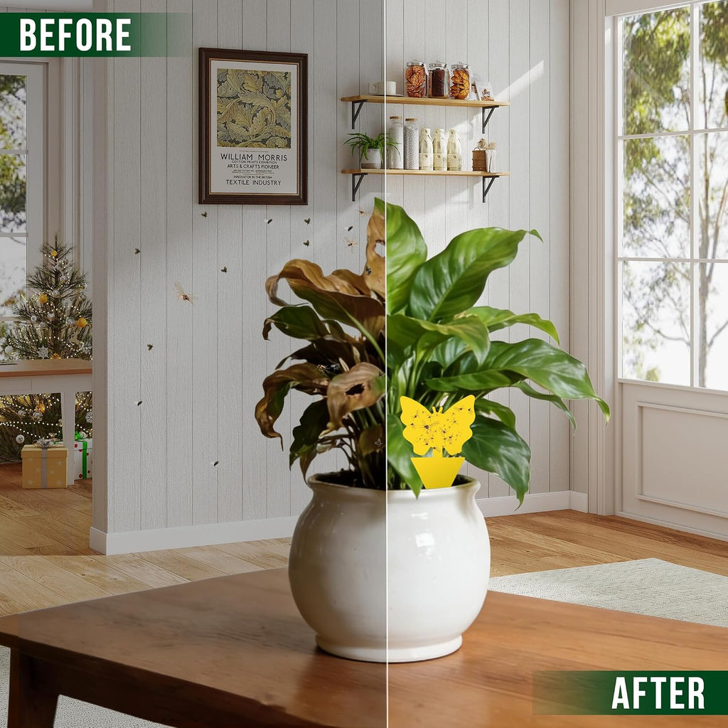 Garsum Fruit Fly Sticky Trap For Indoor And Outdoor, 36 Pack Fungus Gnat Killer For Houseplant,Mosquitos, Flying Insect, White Flies
