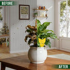 Garsum Fruit Fly Sticky Trap For Indoor And Outdoor, 36 Pack Fungus Gnat Killer For Houseplant,Mosquitos, Flying Insect, White Flies