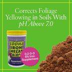 Grow More 0.2-0-0 Eddha Iron Chelate For Greener Plants On Soils With Ph Of 7 Or Above - 1Lb Of Water Soluble Chelated 6% Iron For Plants