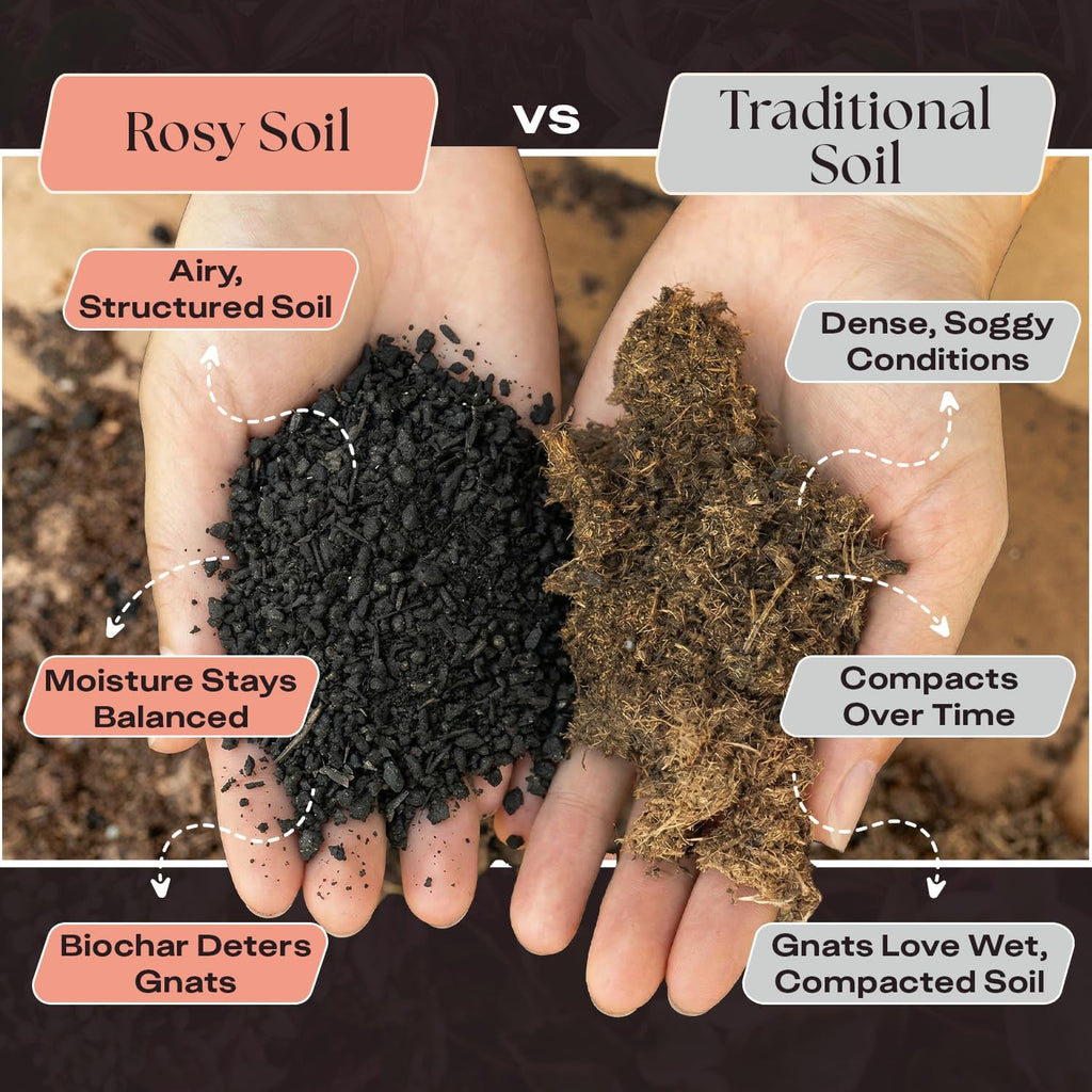 Rosy Soil Cactus & Succulent Potting Mix, 4 Quarts | Organic Succulent Potting Soil, Chunky Fast Draining, Peat-Free, Root Boosting Mix, For Aloevera, Cacti, Indoor Succulents