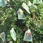 Mixc 50 Pcs Fruit Protection Bags,6''×8''Fruit Netting Bags For Fruit Trees Fruit Cover Mesh Bag With Drawstring Netting Barrier Bags For Plant Fruit Flower