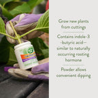 Garden Safe Brand Takeroot Rooting Hormone, 2 Count, Powder Helps Grow New Plants From Cuttings Including Most Home, Garden And Greenhouse Varieties, 2 Pack