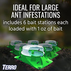 Terro T1804Sr Outdoor Ready-To-Use Liquid Ant Bait Killer And Trap - Kills Common Household Ants - 8 Bait Stations | Ready-To-Use Ant Killer Traps, Kills Common Household Ants Including Acrobat, Crazy, Ghost And Little Black Ants, T1804Sr