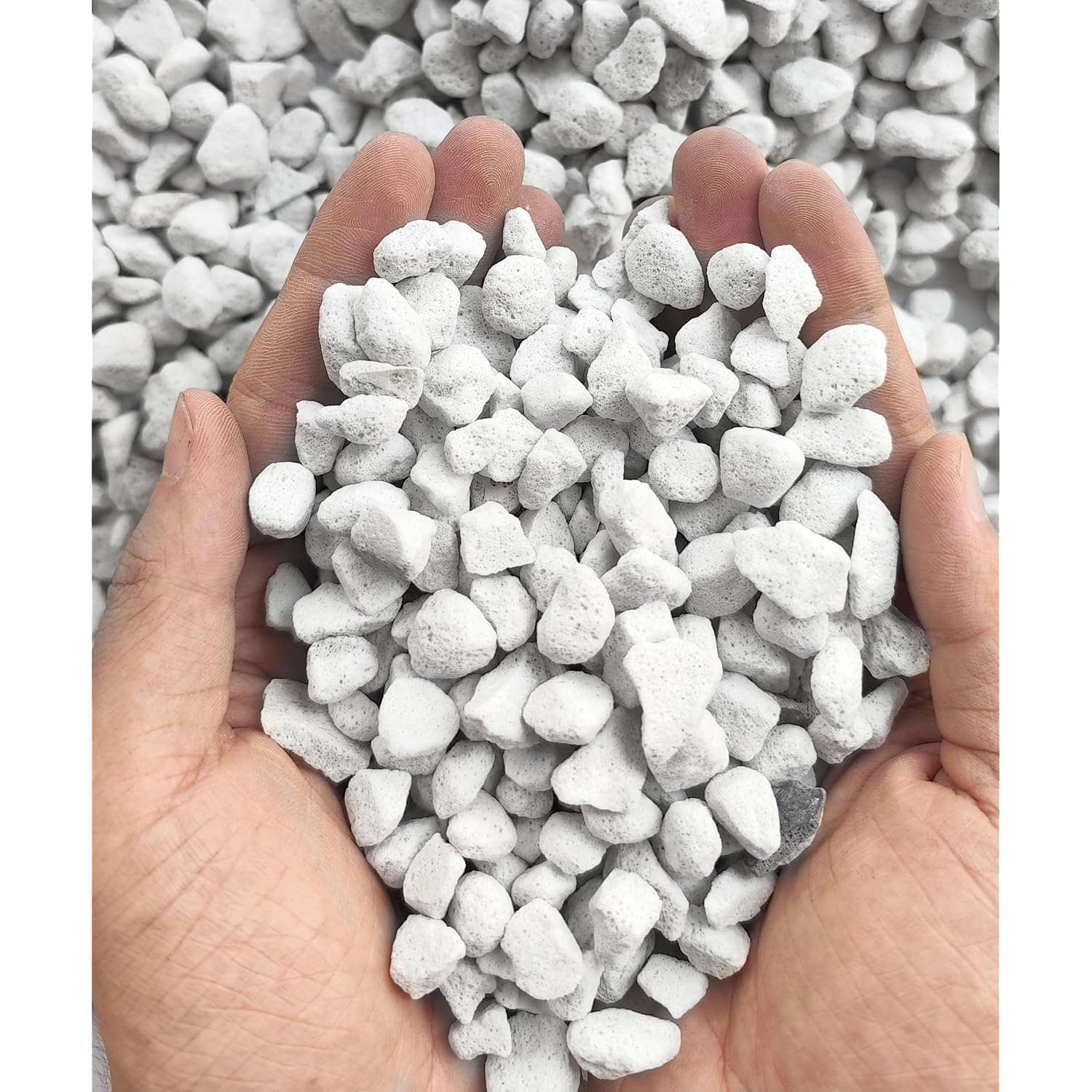 10Qt Organic Perlite Horticultural Soil Amendment For Plants And Enhanced Drainage Enhanced