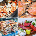 10 Pcs Seafood Tools Set - Crab Lobster Crackers Stainless Steel Forks Opener Shellfish Lobster Crab Leg Sheller Seafood Scissors,1Set