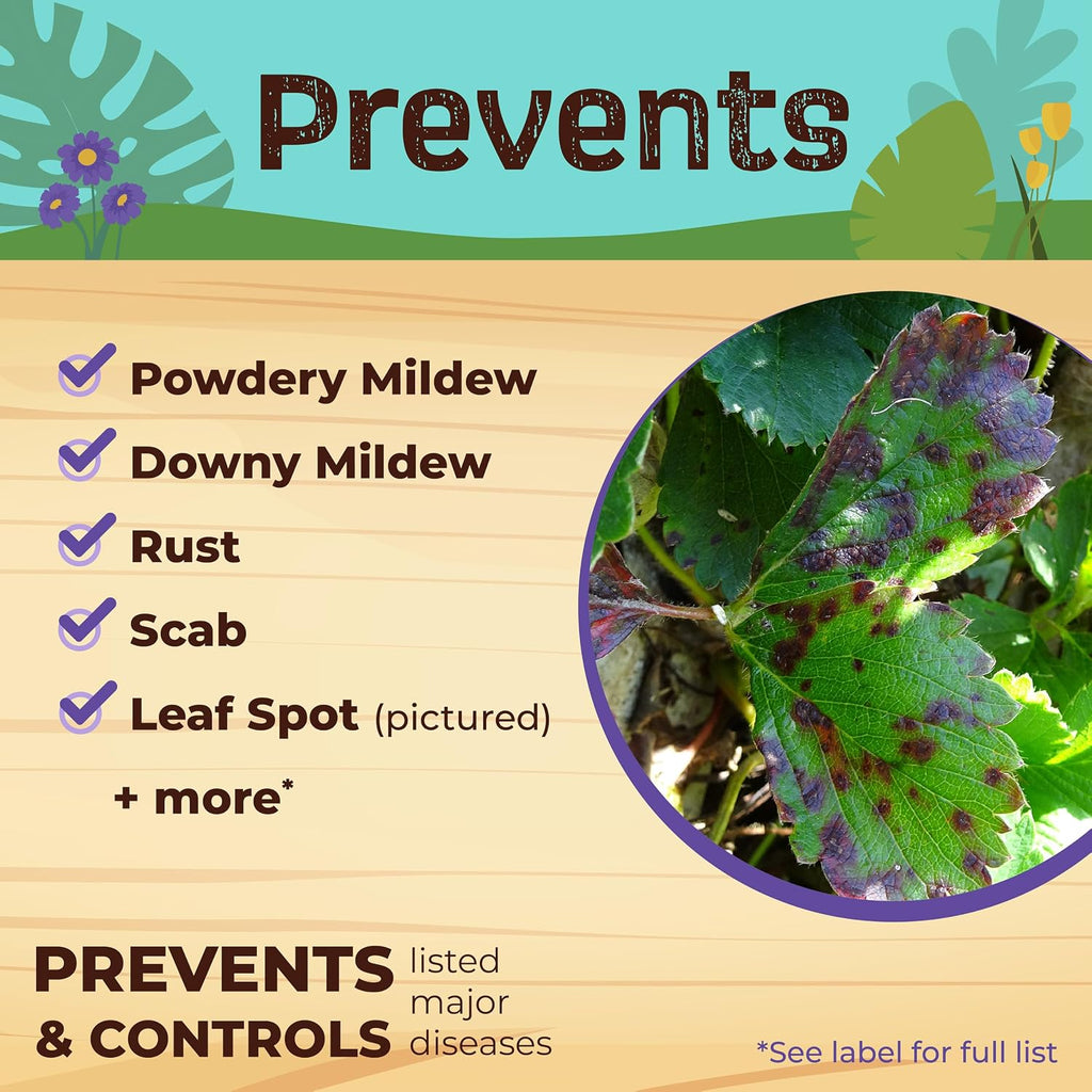Bonide Captain Jack'S Neem Max Ready-To-Use Spray, 64 Oz | Cold Pressed Neem Oil, For Indoor Or Outdoor Plants, Organic Gardening