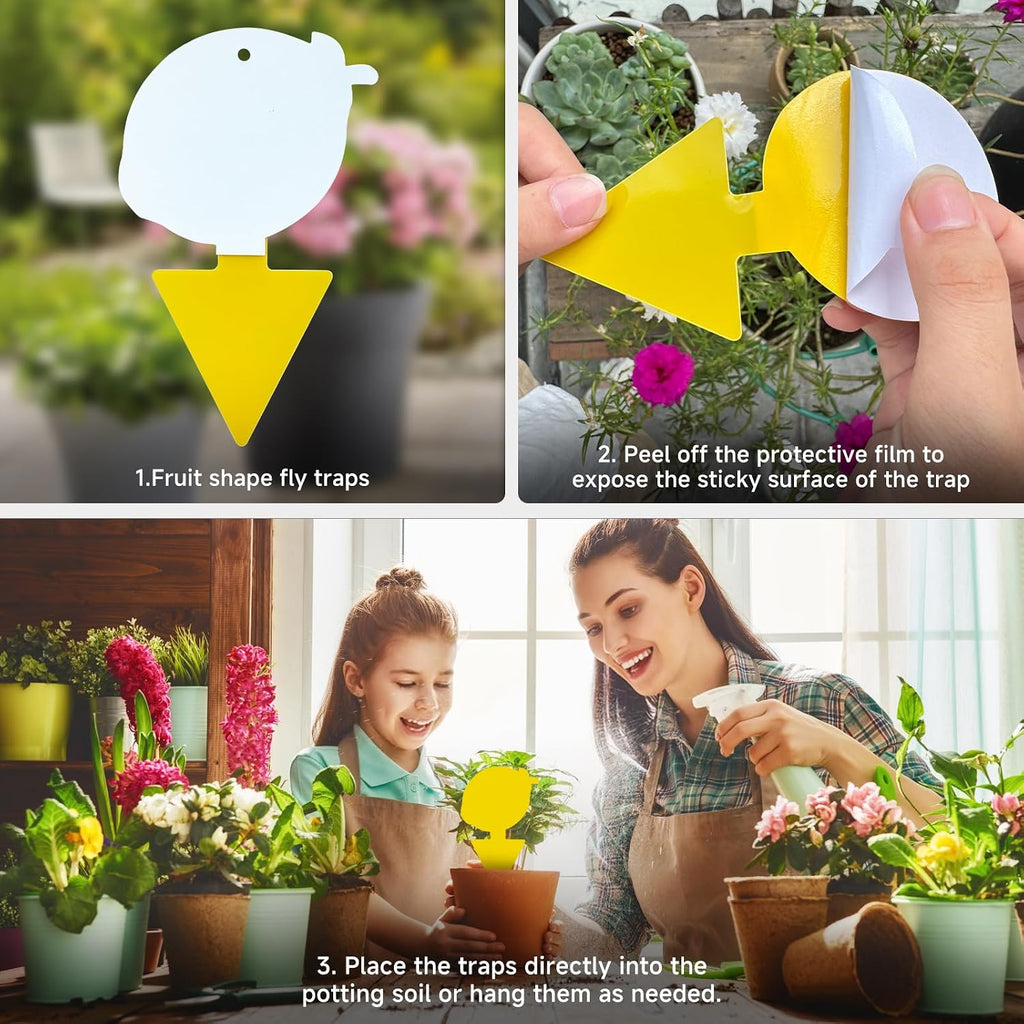 Fruit Fly & Fungus Gnat Traps 40 Pack, Yellow Sticky Traps | Non-Toxic, Odorless Yellow Sticky Traps For Fruit Flies, Fungus Gnats, Whiteflies, Aphids & Other Flying Pests.
