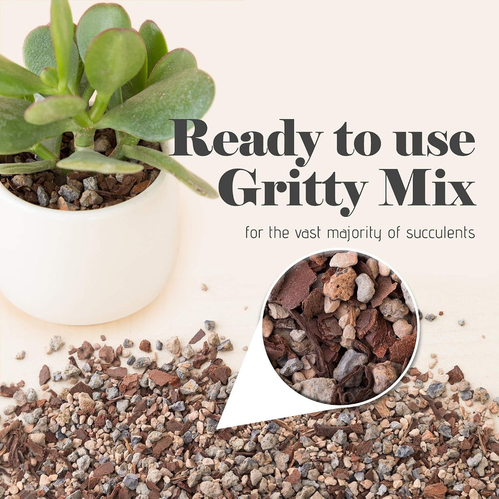 Succulent, Cactus And Bonsai Soil - Jacks Gritty Mix - 2 Quarts – Fast Draining – Fight Root Rot – Optimized Ph