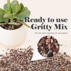 Succulent, Cactus And Bonsai Soil - Jacks Gritty Mix - 2 Quarts – Fast Draining – Fight Root Rot – Optimized Ph