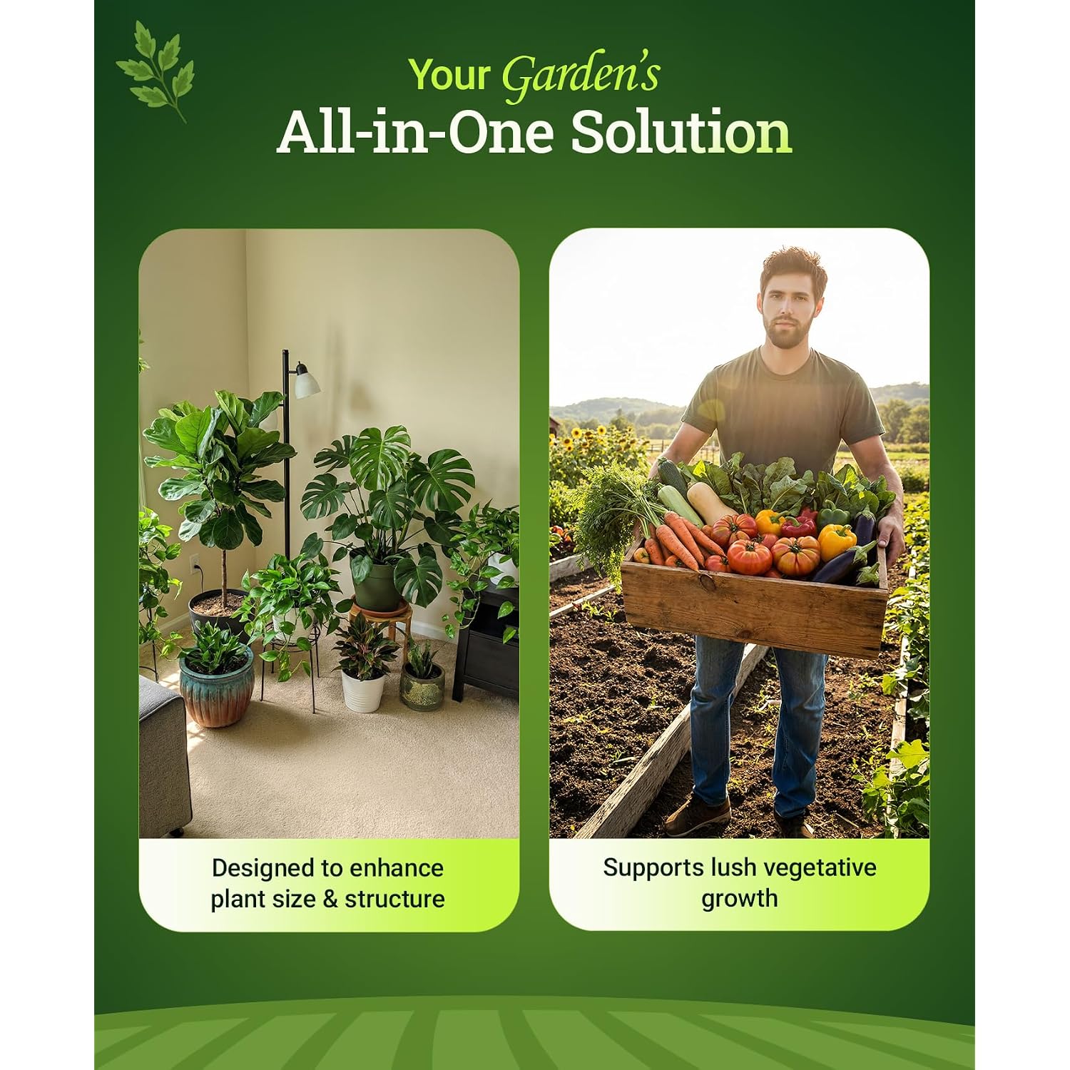 Foxfarm Grow Big Liquid Plant Food - 6-4-4 House Plant Fertilizer For Lush Vegetative Growth, Fast Nutrient Uptake For Roses, Tomatoes & Veggies - Quart Size Concentrate