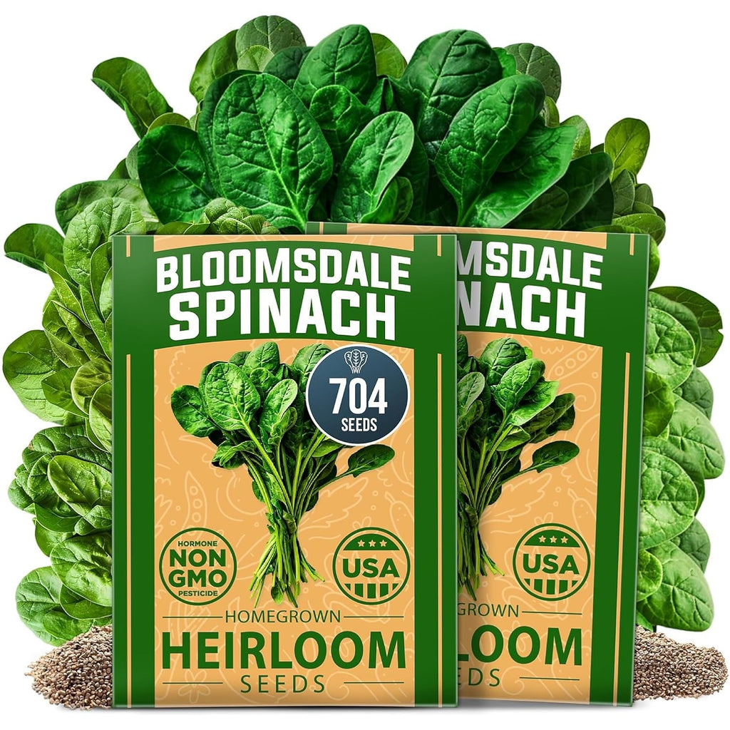 Home Grown Bloomsdale Spinach Seeds 704+ Heirloom Non-Gmo Seeds For Planting, High Germination, Cold Hardy Dark Green Savoy Leaf, Nutritious Superfood, Indoor Outdoor Garden (Spinacia Oleracea)