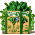 Home Grown Bloomsdale Spinach Seeds 704+ Heirloom Non-Gmo Seeds For Planting, High Germination, Cold Hardy Dark Green Savoy Leaf, Nutritious Superfood, Indoor Outdoor Garden (Spinacia Oleracea)