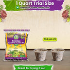 Succulents Soil Potting Mix – 7 In 1 Ingredients Well-Draining, Nutrient-Rich Cactus Potting Soil For Succulents And Cacti, Indoor & Outdoor Use, Ready To Use, Supports Healthy Root Growth, 1Qt
