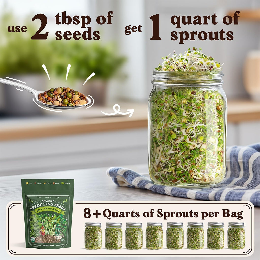 Organic Non-Gmo Sprouting Seeds, Fresh Salad Blend - Usa Grown Microgreens Mix With Alfalfa, Broccoli, Radish, Mung Bean & Lentil - 8 Oz Bag Makes 8 Quarts / 32 Servings (Salad Blend)