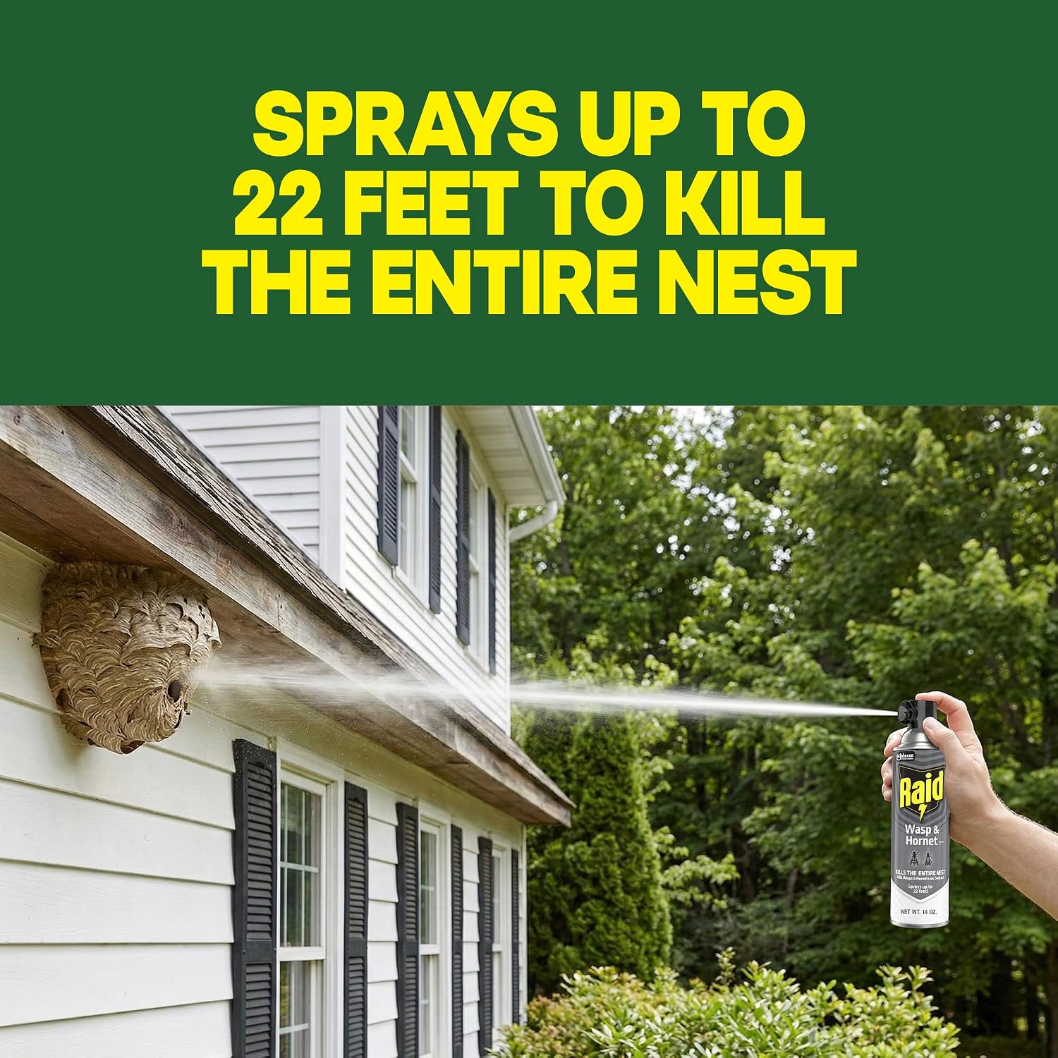 Raid Wasp & Hornet Killer Spray, Bug Killer, Wasp And Hornet Spray Kills The Entire Nest, 14 Oz, 2 Count