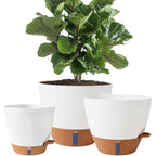 8/10/12 Inch Self Watering Pots For Indoor/Outdoor Plants | Large Plastic Planter With Drainage Holes, Water Level Indicator & Deep Reservoir, Modern Decorative Flower Pots, White