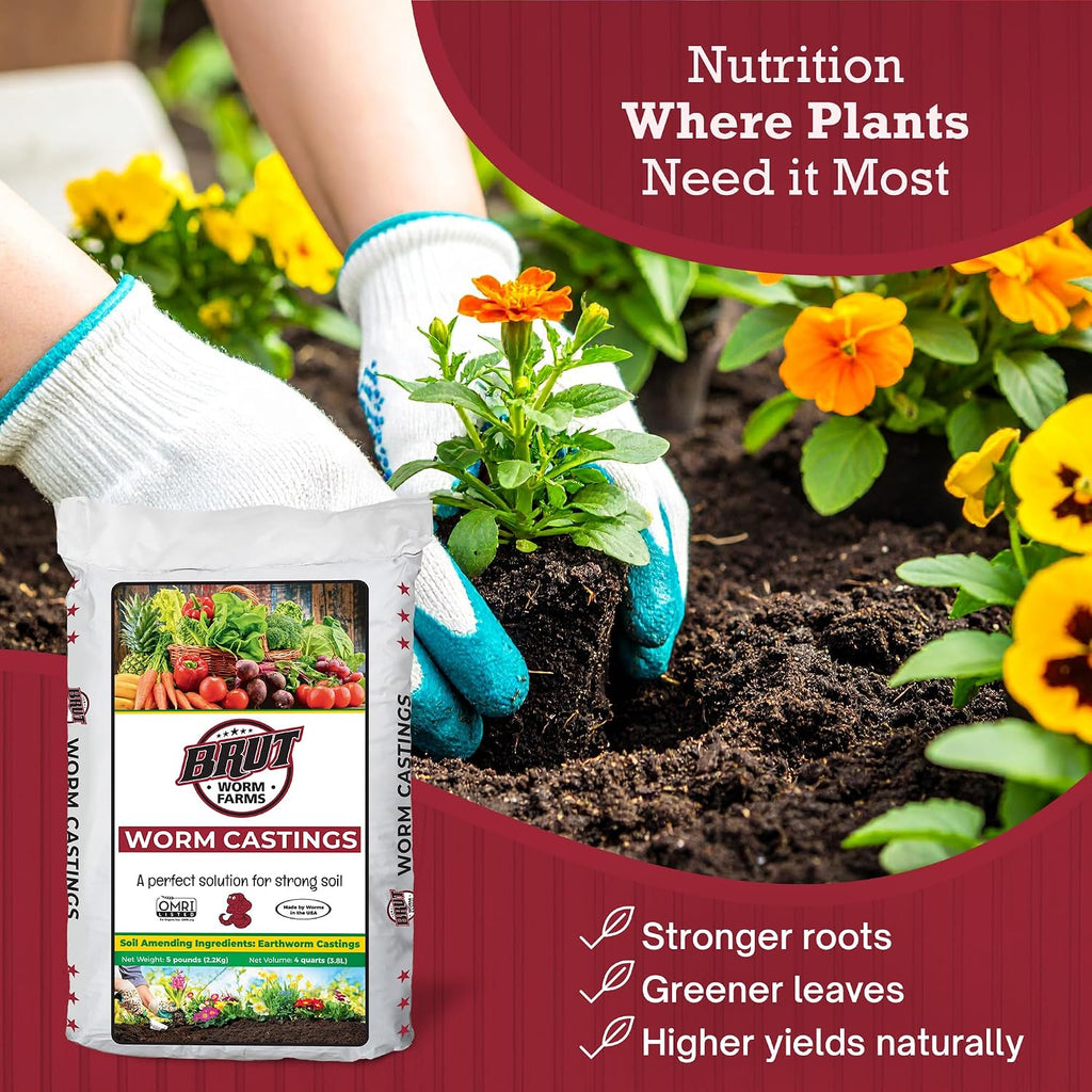 Brut Organic Worm Castings For Plants 5 Lb – Natural Nutrients, Fertility Builder, Plant Food For Potting Soil And Garden Soil – Indoor And Outdoor Use
