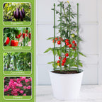 2 Pack Up To 59 Inch Height Adjustable Tomato Cages For Garden | Heavy Duty, Rust-Resistant Trellis, Adjustable Height For Climbing Vegetables & Flowers, Supports Tomatoes,Cucumbers,Peonies