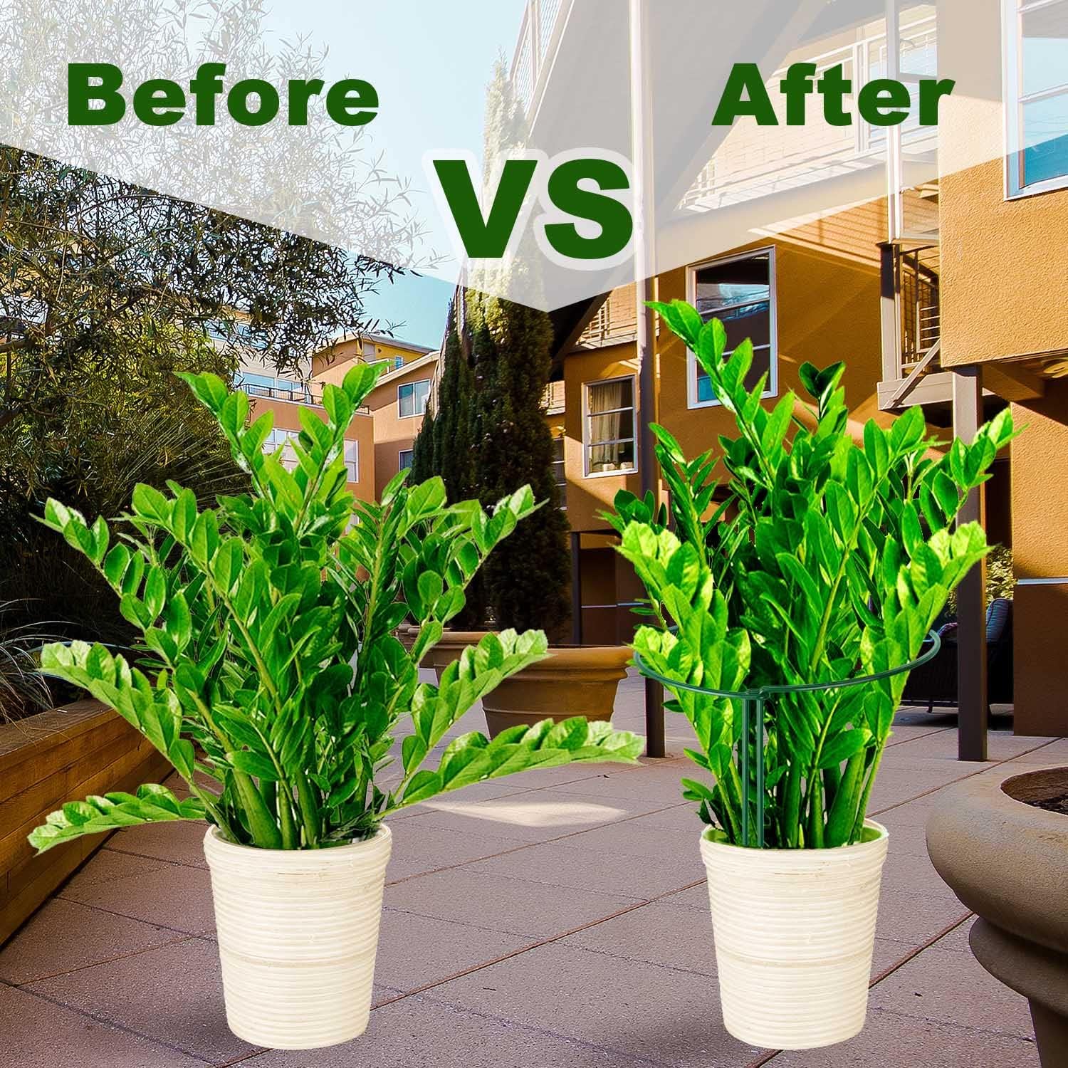 Higift Plant Support Stakes, 6 Pack Metal Peony Cages And Supports, Garden Stakes Plant Support Cage, Large Plant Support Ring For Outdoor Indoor Snake Plant Peony Rose Flowers Vine (10" W X 15.8" H)