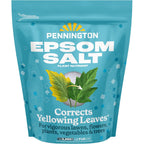 Pennington 397606 Epsom Salt Plant Nutrient, 7 Lb