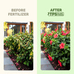 Hibiscus Fertilizer – Liquid Plant Food For More Blooms, Vibrant Color & Healthy Tropical Growth, 8 Oz
