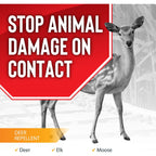 Deer Stopper, Liquid Animal Stopper Repellent, All Natural, Effective All Year Round, Safe For People And Pets, No Harsh Chemicals, Ready To Use, Deer & Moose Repellent - 32 Oz. Trigger