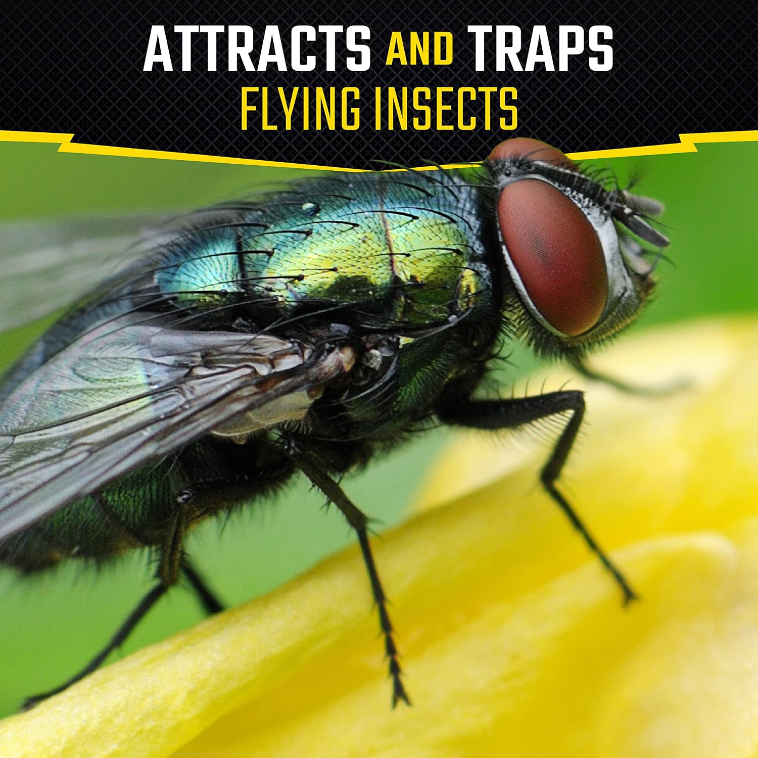 Black Flag Fly Stick, Trap Houseflies And Flying Insects, Pack Of 6