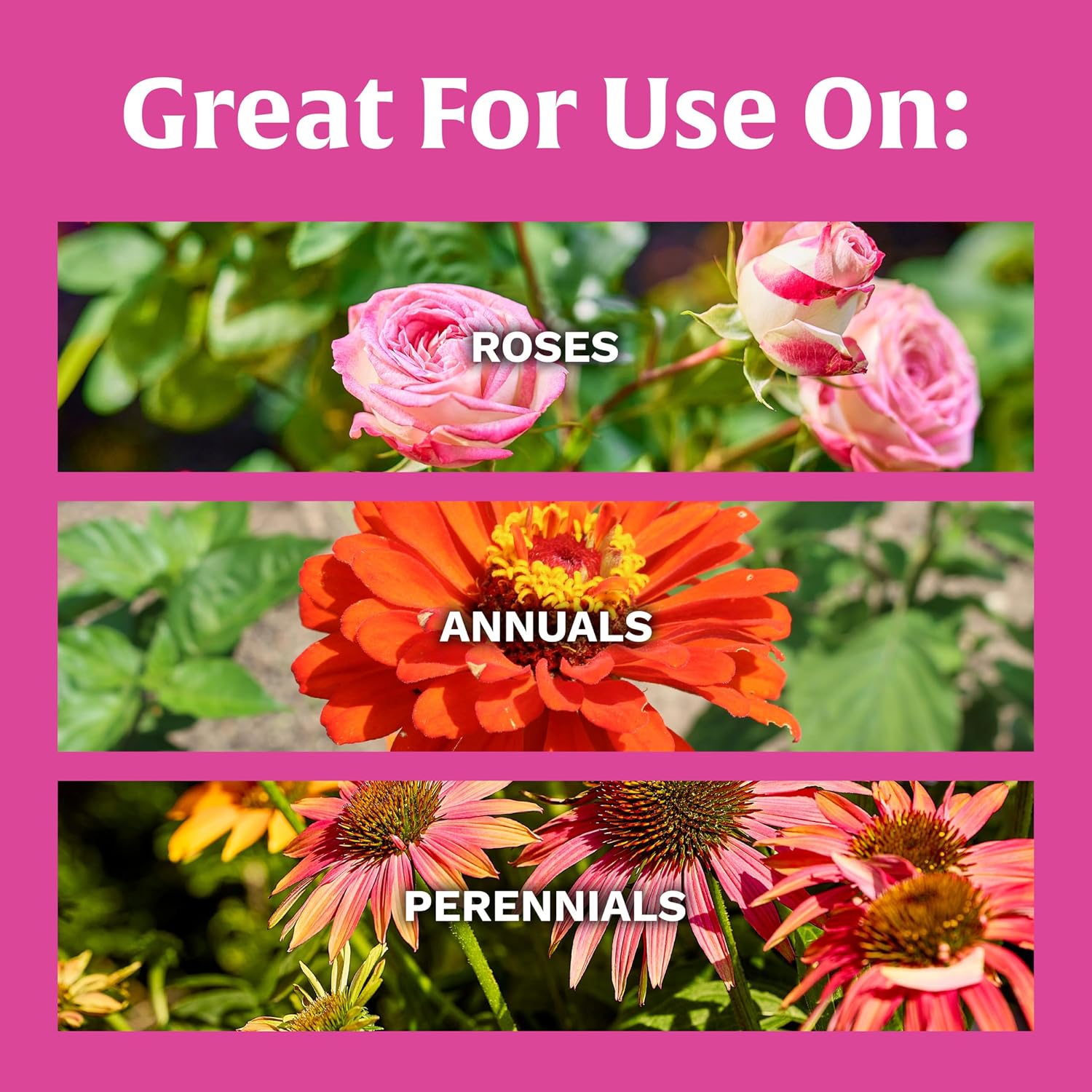 Scotts Rose And Bloom Continuous Release Plant Food, 3 Lbs. | Water Soluble, Fertilizer For Flowers, Vegetables, Houseplants, Trees, Indoor And Outdoor Plants
