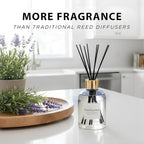Scentsationals Water-Based Reed Diffuser - Cedar & Lavender - 5 Fl Oz Aromatherapy Reed Diffuser