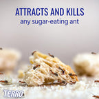 Terro Liquid Ant Killer 3-Pack Indoor Ant Baits With Borax - Kills Common Household Ants Including Ghost, Sugar, And Black Ants - Fast-Acting Pest Control, T200-3Sr