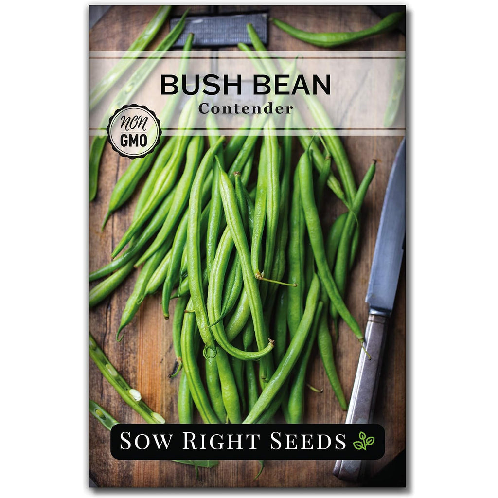 Sow Right Seeds - Contender Bush Bean Seed For Planting Green Beans Garden | Plant Stringless Non-Gmo Heirloom Variety For Home Outdoors Vegetable Gardening. Popular Fresh Veggies For Growing Outside.