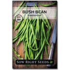 Sow Right Seeds - Contender Bush Bean Seed For Planting Green Beans Garden | Plant Stringless Non-Gmo Heirloom Variety For Home Outdoors Vegetable Gardening. Popular Fresh Veggies For Growing Outside.