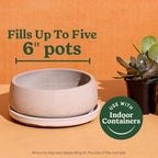 Miracle-Gro Cactus, Palm & Citrus Potting Mix, 8 Qt. (2-Pack) | For Indoor Or Outdoor Potted Plants, Great For Succulents