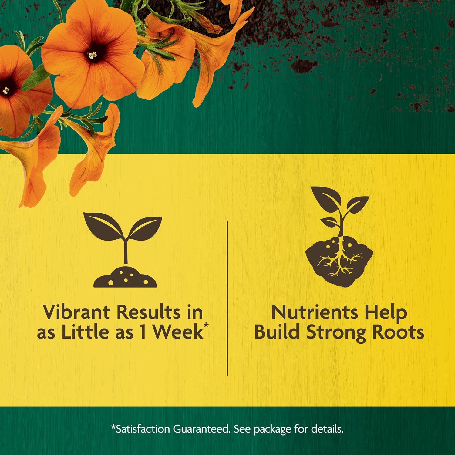 Miracle-Gro Organic All Purpose Plant Food, 3 Lb. | Garden Fertilizer For Outdoor Vegetables, Flowers, Container And In-Ground Plants, Feeds Up To 3 Months, Omri Listed