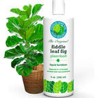 Fiddle Leaf Fig Plant Food, 3-1-2 Npk Liquid Fertilizer For Ficus, 8 Oz