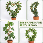 4 Pack Moss Pole Monstera Plant Support, 2 Pack 28" & 2 Pack 48" Bendable Plant Stakes Made Of Real Coco Coir Support For Climbing Indoor Plants, Tall Moss Stick Trellis For Potted Climbers