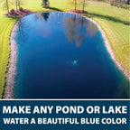 Airmax Nature'S Blue Pond & Lake Dye 4X Concentrate, 1 Quart | Natural Pond Colorant & Beauty Enhancer For Outdoor Ponds & Lakes, Blocks Ultraviolet Rays, Fish, Bird & Livestock Safe