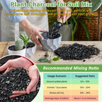2 Qt Horticultural Charcoal- Natural Charcoal For Plants, Biochar Soil Amendment For Indoor Plants, Terrariums, Orchids Potting Mix And Gardening